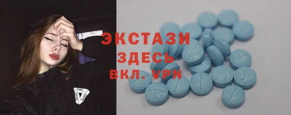 винт Лагань