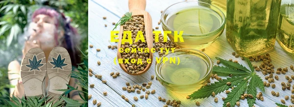 винт Лагань