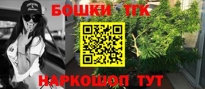 Альфа ПВП Ставрополь