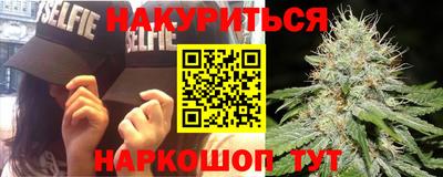 Альфа ПВП Ставрополь