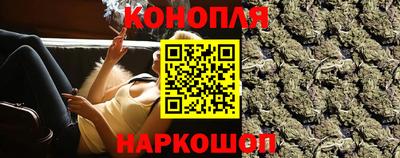 Альфа ПВП Ставрополь