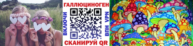 закладка  Темрюк  Галлюциногенные грибы ЛСД 