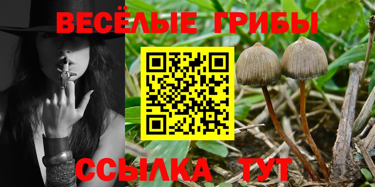Псилоцибиновые грибы MAGIC MUSHROOMS  Вход с VPN  что такое наркотик  Темрюк 