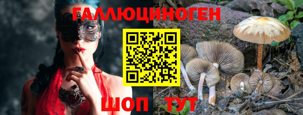 Галлюциногенные грибы мицелий  Галлюциногенные грибы прущие грибы  Темрюк 