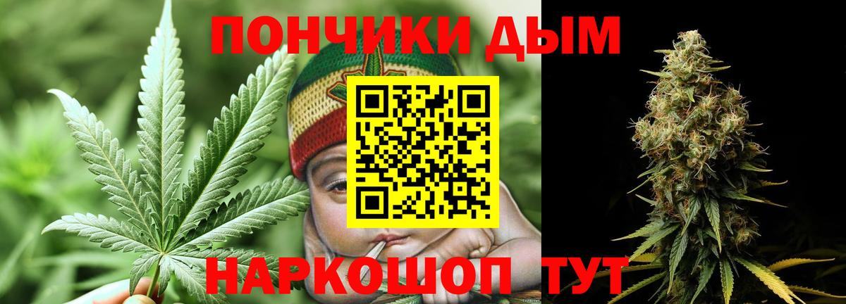 Бошки Шишки семена  Вход с VPN  Темрюк  Бошки Шишки семена  Каннабис сатива 